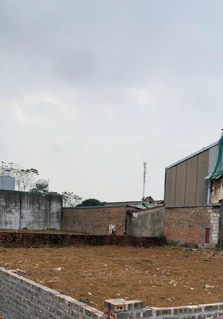 Đất nền Băng 3 Tái định cư Thụy Vân 305m² giá 3.5 tỷ - Tiềm năng sinh lời cao!