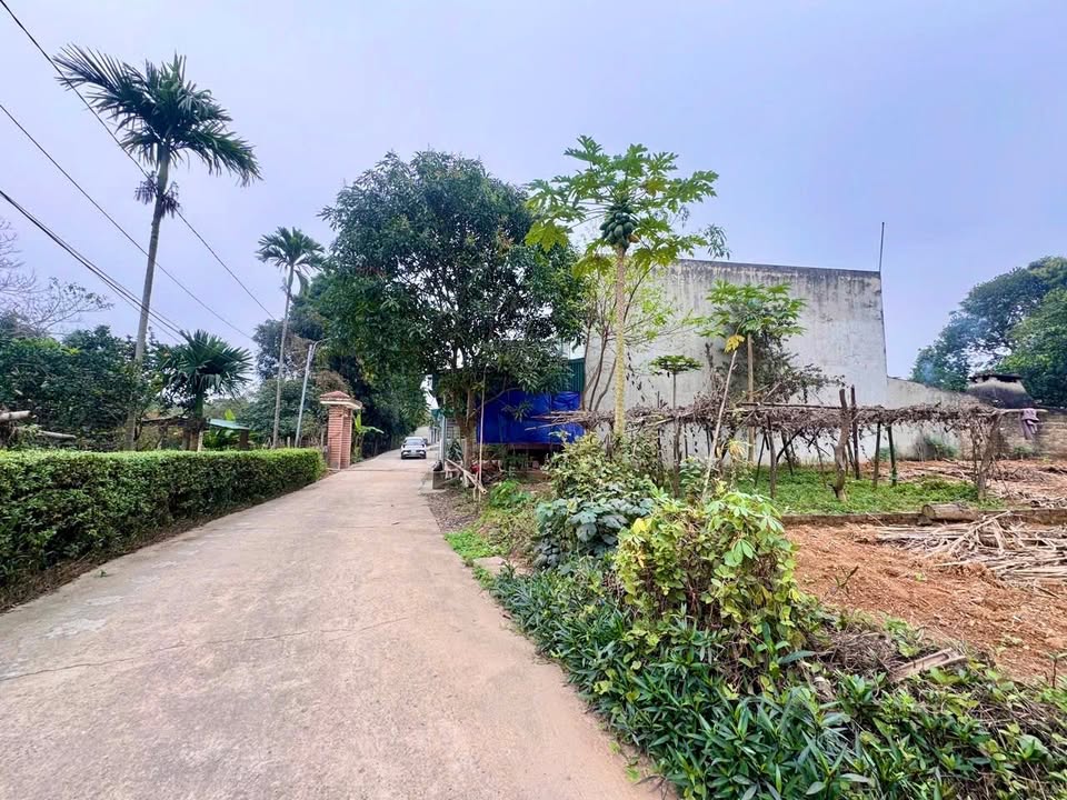 Đất nền khu 5 Vân Phú 95m² giá chỉ 2 tỷ - Tiềm năng phát triển vượt bậc!