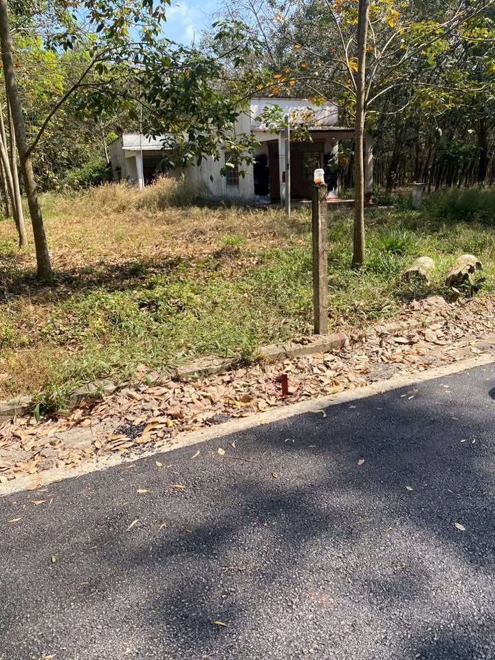 Đất nền Chánh Phú Hòa, Bến Cát 550m² giá 2.1 tỷ - Đất thổ cư, vị trí tiềm năng!