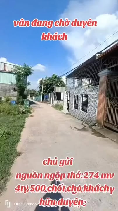 Nhà và dãy trọ Tân Vĩnh Hiệp - 273m² giá 4.5 tỷ - Đầu tư sinh lời ngay!