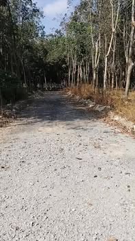 Đất nền Hòa Lợi, Bến Cát 35m² giá 700 triệu - Cơ hội đầu tư hiếm có!