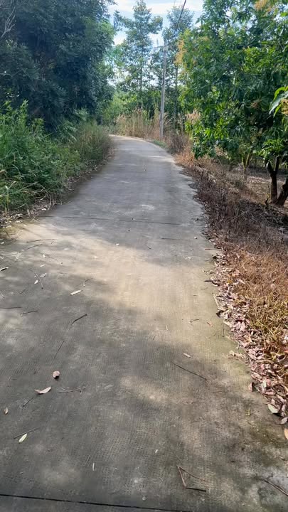 Đất nền La Ngà 1000m² giá chỉ 500 triệu - Sổ hồng riêng, đầu tư lý tưởng!