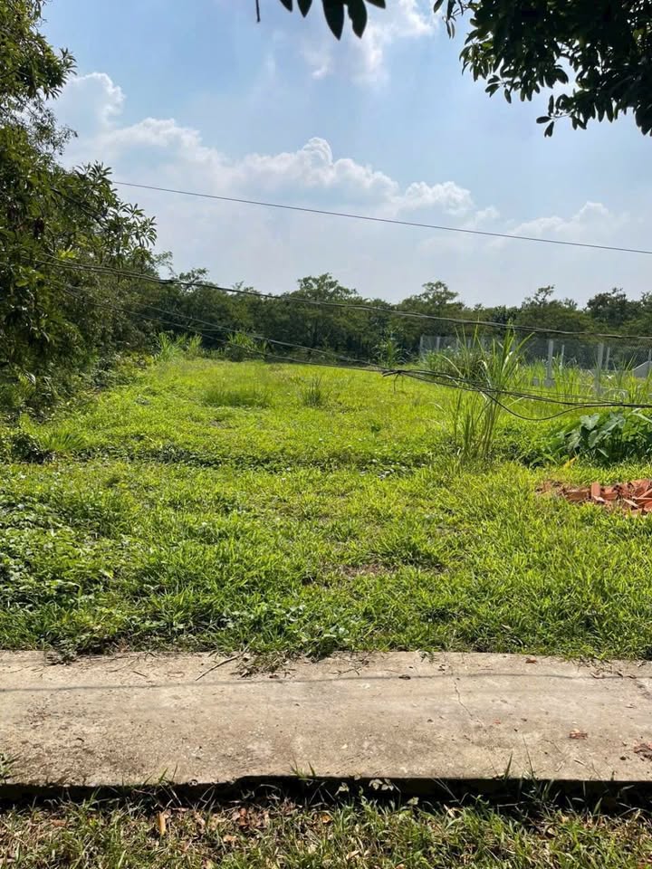 Đất nền Kim Sơn, Châu Thành 167.8m² giá 200 triệu - Cơ hội vàng cho nhà đầu tư!