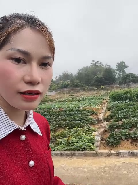 Đất nền Huyện Việt Yên 180m² giá thỏa thuận - Cơ hội đầu tư tuyệt vời!