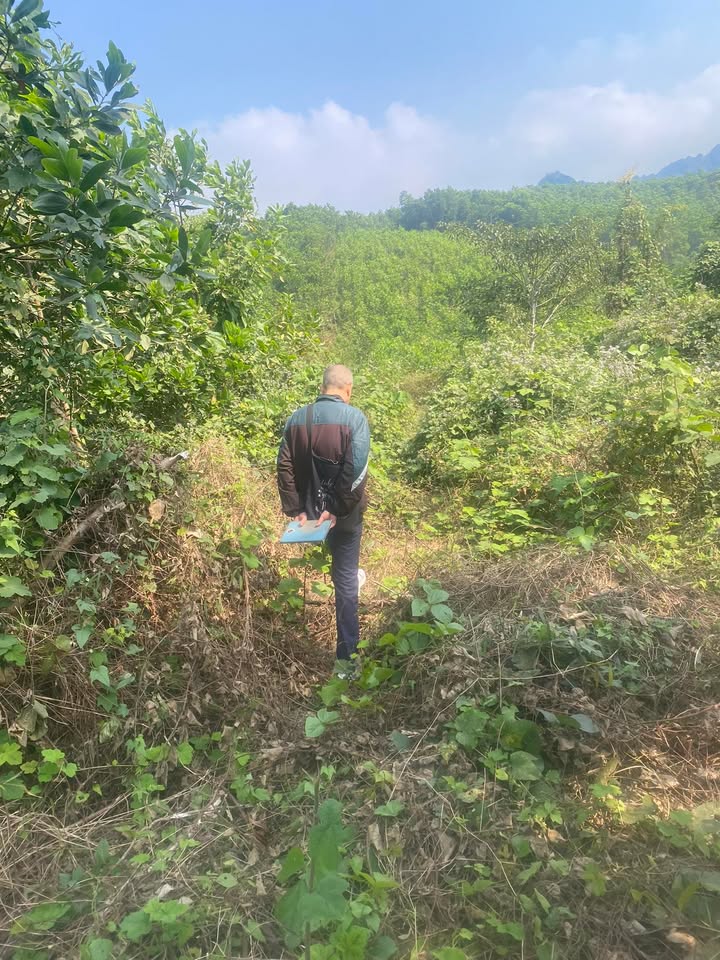 Đất nền Thống Nhất, Lạc Thủy 1.360m² giá 1 tỷ - Phù hợp nghỉ dưỡng và phân lô!