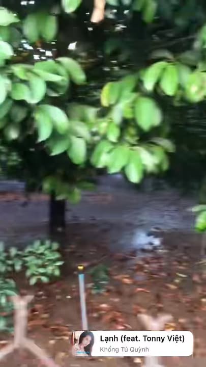 Đất nền 1000m² Xã Bình Lộc giá 1.65 tỷ - Sổ hồng chính chủ, bán gấp!