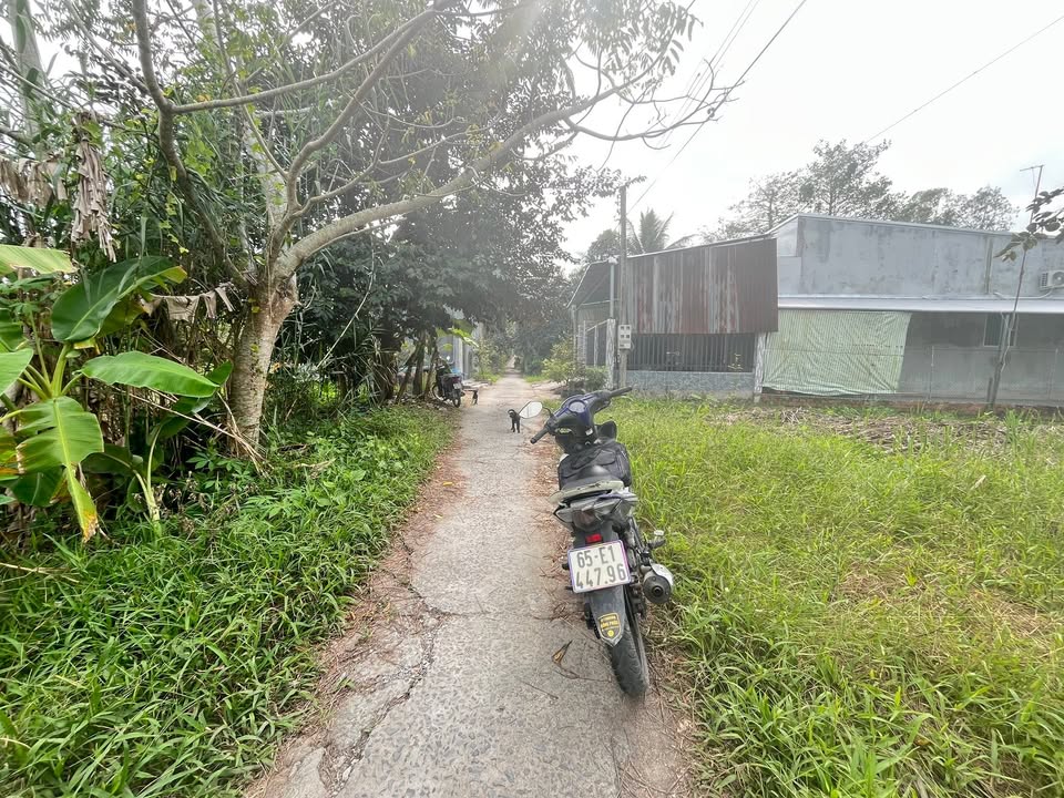 Đất thổ cư 3258m² tại Định Môn, Thới Lai - Giá chỉ 1.8 tỷ, đầu tư sinh lời!