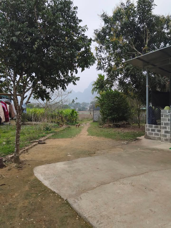 Đất nền nghỉ dưỡng Xã Bình Sơn, Kim Bôi 2100m² giá thỏa thuận - Đường ô tô vào tận nơi!