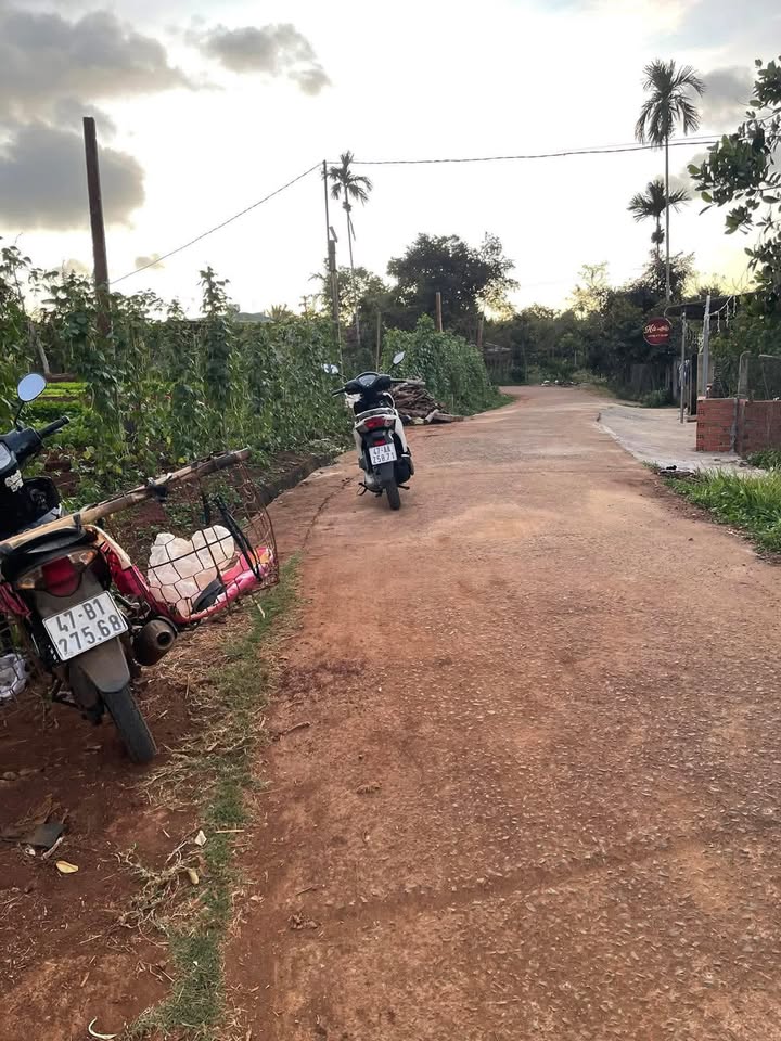 Đất nền Phú Xuân 400m² giá 499 triệu - Đường bê tông thông thoáng!