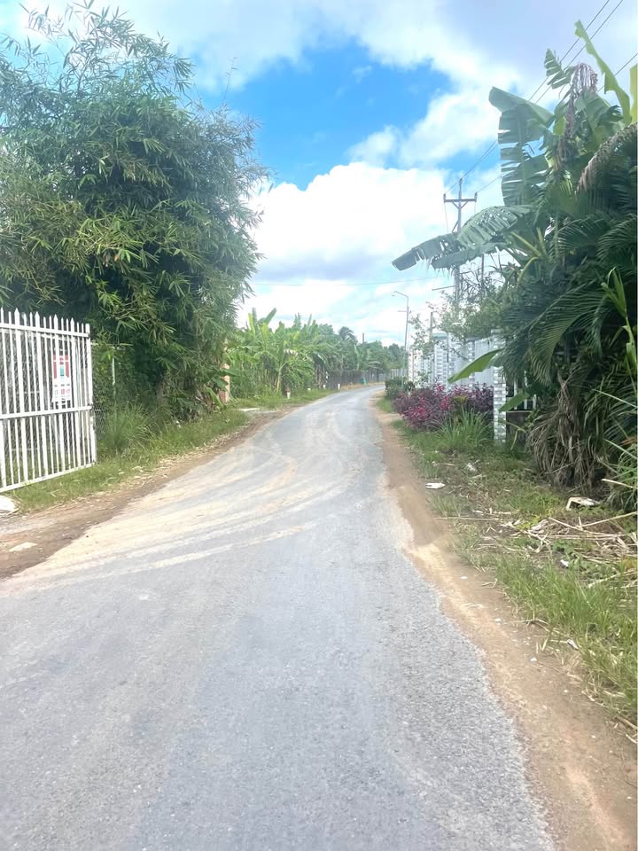 Đất mặt tiền đường Nhựa Phường Tân Hạnh Vĩnh Long 8878m² - Chính chủ, giá thỏa thuận nhanh!