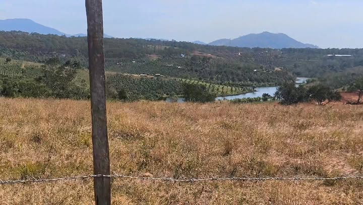 Đất nền 1000m² mặt tiền đường bê tông xã N'Thol Hạ giá 300 triệu - Cơ hội đầu tư hấp dẫn!