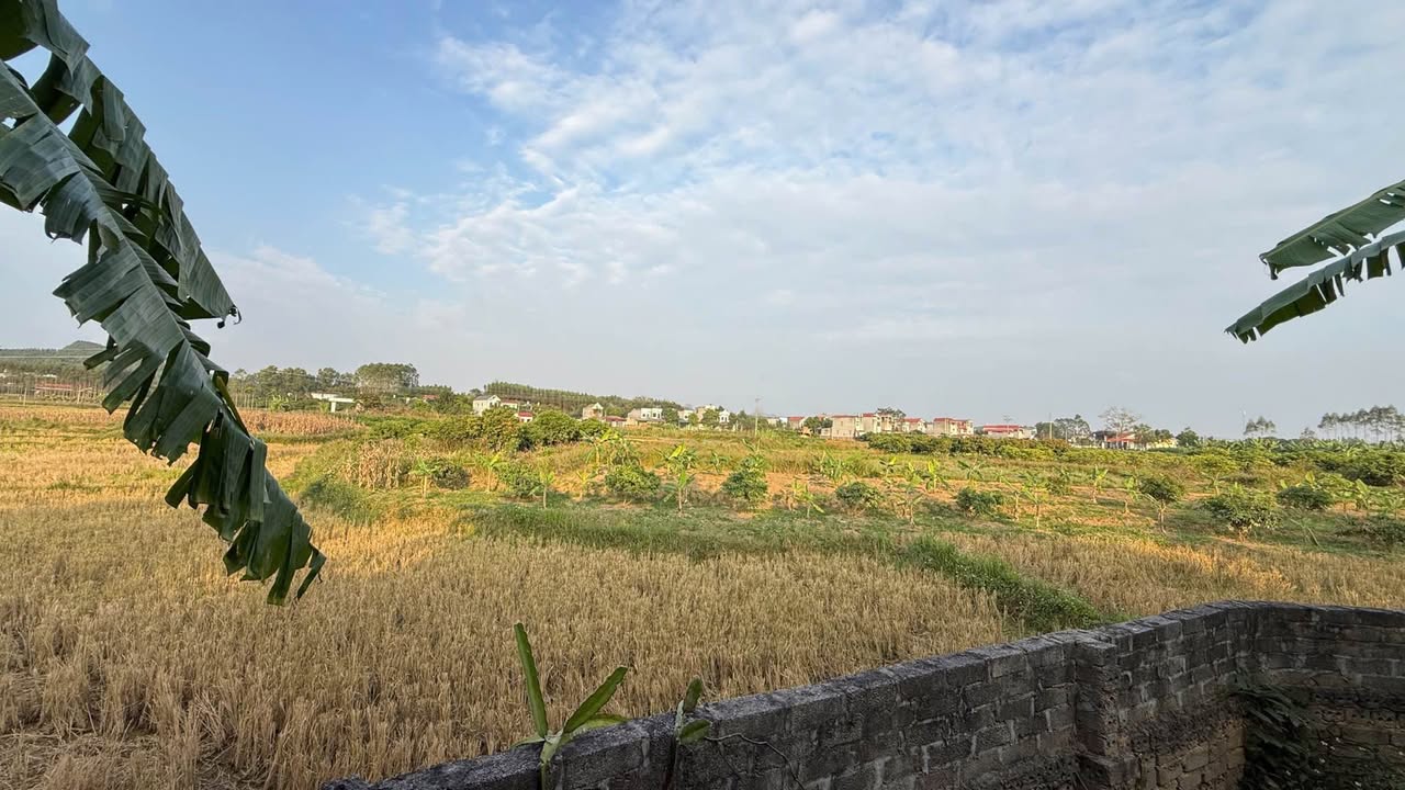 Đất nền thổ cư 400m² tại Đồng Kỳ, Yên Thế - Chỉ 700 triệu, view đồng cỏ tuyệt đẹp!