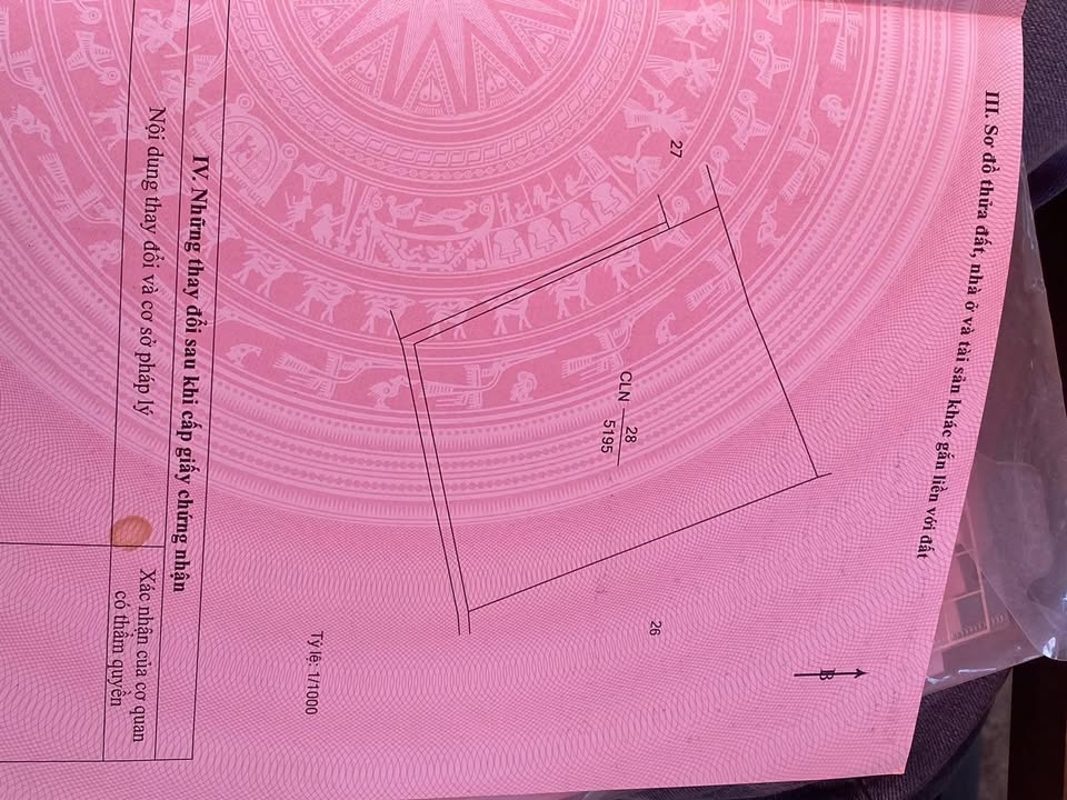 Đất nền xã Cư Elang, huyện Ea Kar 50.000m² giá 500 triệu - Sổ hồng chính chủ!