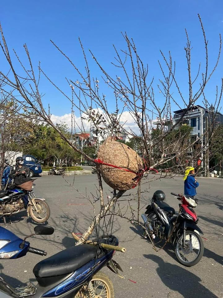 Đất thổ cư thị trấn Kim Long 116m² giá 1.8 tỷ - Cơ hội đầu tư sinh lời!