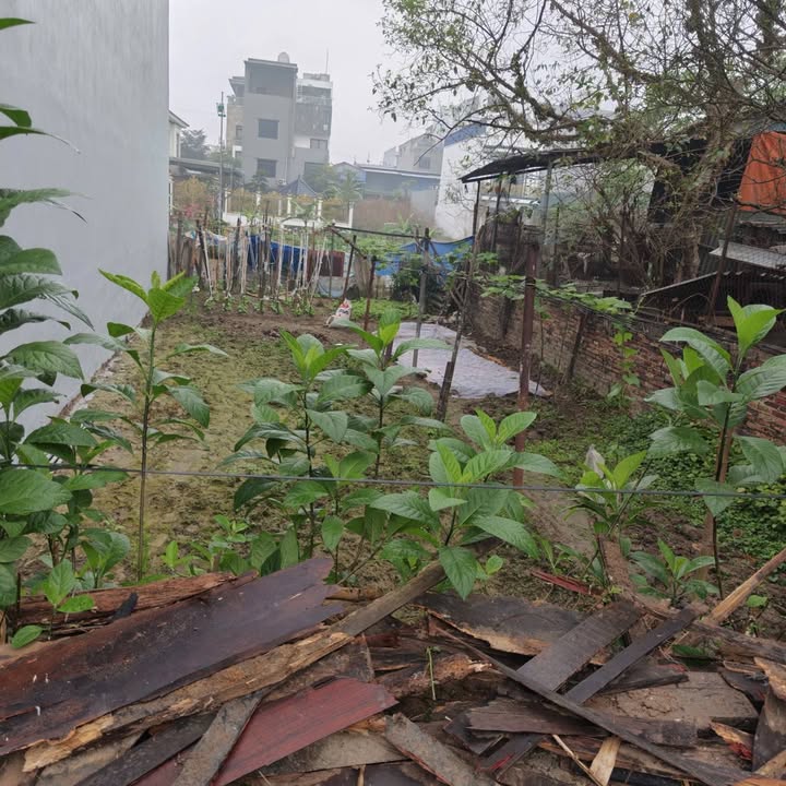 Đất nền Khu đô thị Phú Điền, Hương Mạc, 121m² - Đầu tư tiềm năng sinh lợi!