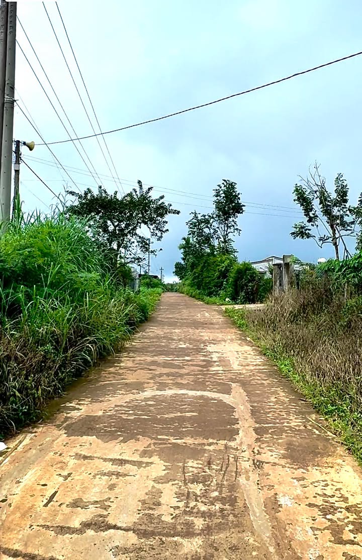 Đất thổ cư 520.6m² tại phường Bình Tân, La Gi - Giá 630 triệu - Cơ hội đầu tư tuyệt vời!