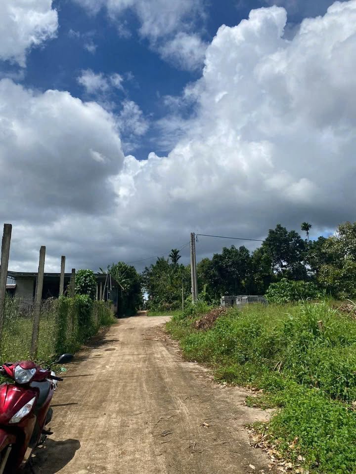 Đất thổ cư 145m² tại Võ Văn Tần, An Lạc - Đầu tư thông minh chỉ 600 triệu!