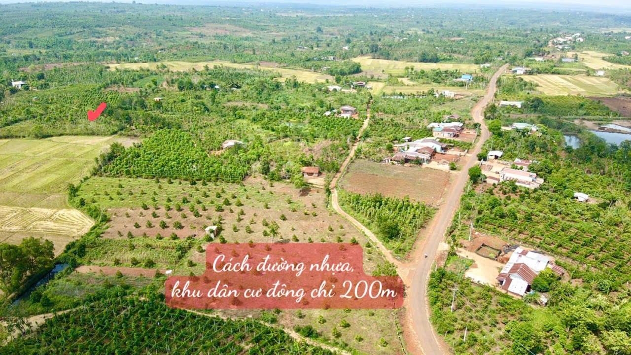 Bán đất thôn Bình Hoà, phường Cư Bao, Đắk Lắk - 560,2m² giá 195 triệu - Đất CLN chính chủ!