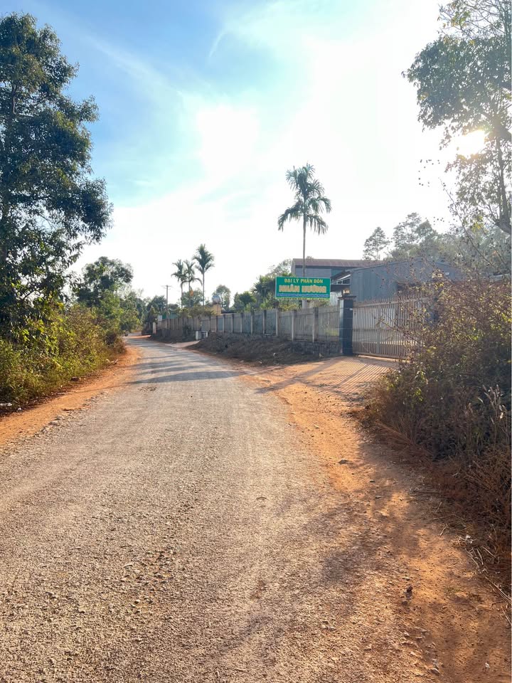 Đất nền 1000m² tại Đắk Mil, Đắk Nông - Giá 110 tỷ - Tiềm năng phát triển lớn!