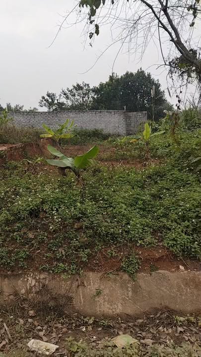 Đất nền xã Quỳnh Lưu, Ninh Bình 61m² - Kinh doanh thuận lợi!