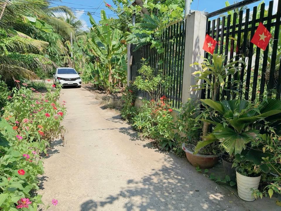 Đất nền biệt thự phường Sơn Đông 500m² giá 990 triệu - Sổ đỏ chính chủ