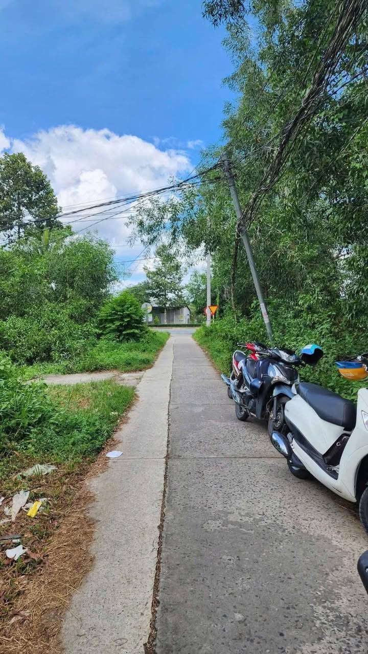 Đất nền mặt tiền đường Huỳnh Tấn Phát, xã Hữu Định, 119m² giá 750 triệu - Cơ hội đầu tư tuyệt vời!