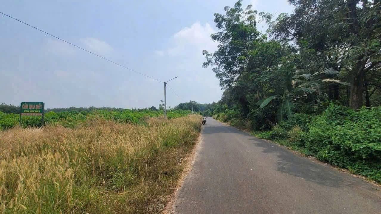 Đất nền 800m² mặt tiền đường nhựa 43 Thành Tâm Chơn Thành - Giá chỉ 700 triệu!