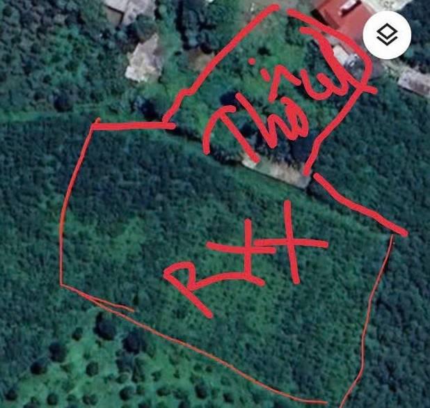 Đất trang trại 7000m² tại Lương Sơn, Hòa Bình giá chỉ 2 tỷ - Cơ hội đầu tư tuyệt vời!