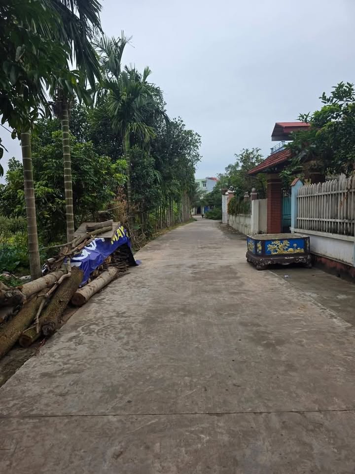 Lô đất đẹp tại xã Tân Hưng, huyện Lạng Giang 150m² giá 1 tỷ - Tiềm năng đầu tư cao!