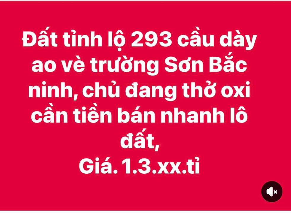 Đất thổ cư 100% Huyện Yên Dũng 366m² giá chỉ 7 tỷ - Mặt tiền rộng, đường thông tứ ngả!
