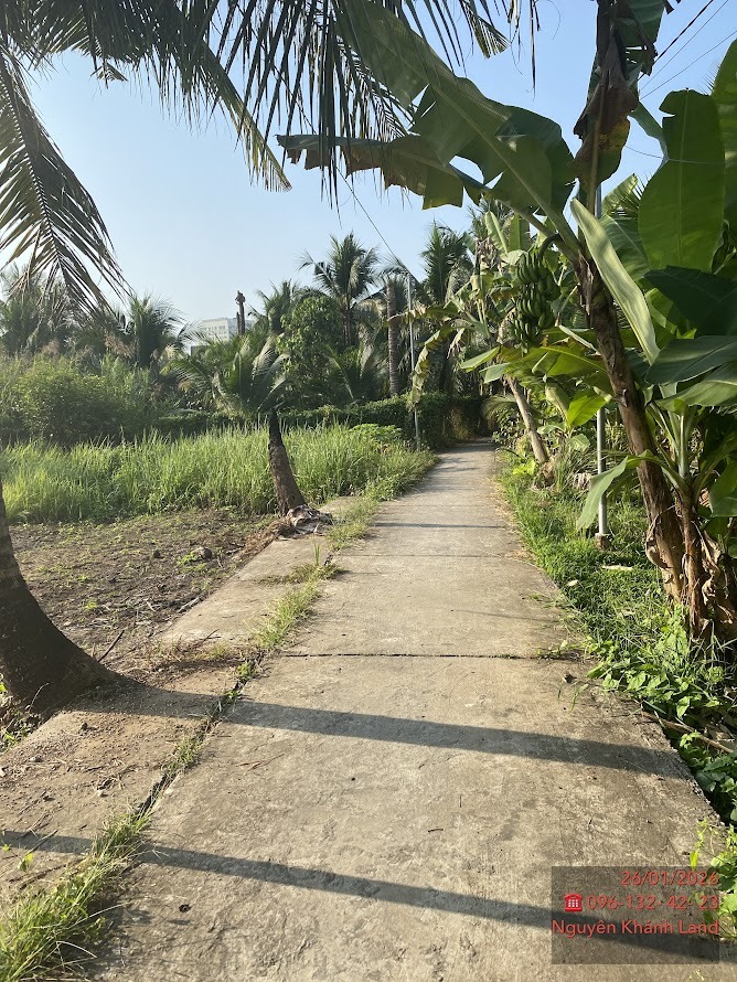 Bán đất chính chủ Phường Phú Tân, TP Bến Tre 147m² - Đường thông thoáng thuận tiện!