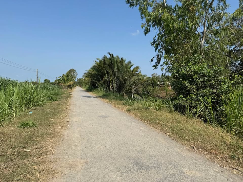 Đất nền 5.000m² Đa Hoà Bắc, Hòa Lợi, Châu Thành - Giá chỉ 1.45 tỷ!