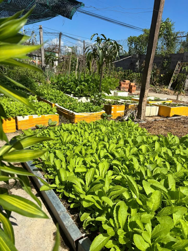 Đất thổ cư Vĩnh Cát - Suối Hiệp, 441.3m² giá 3 tỷ - Cơ hội đầu tư hấp dẫn!