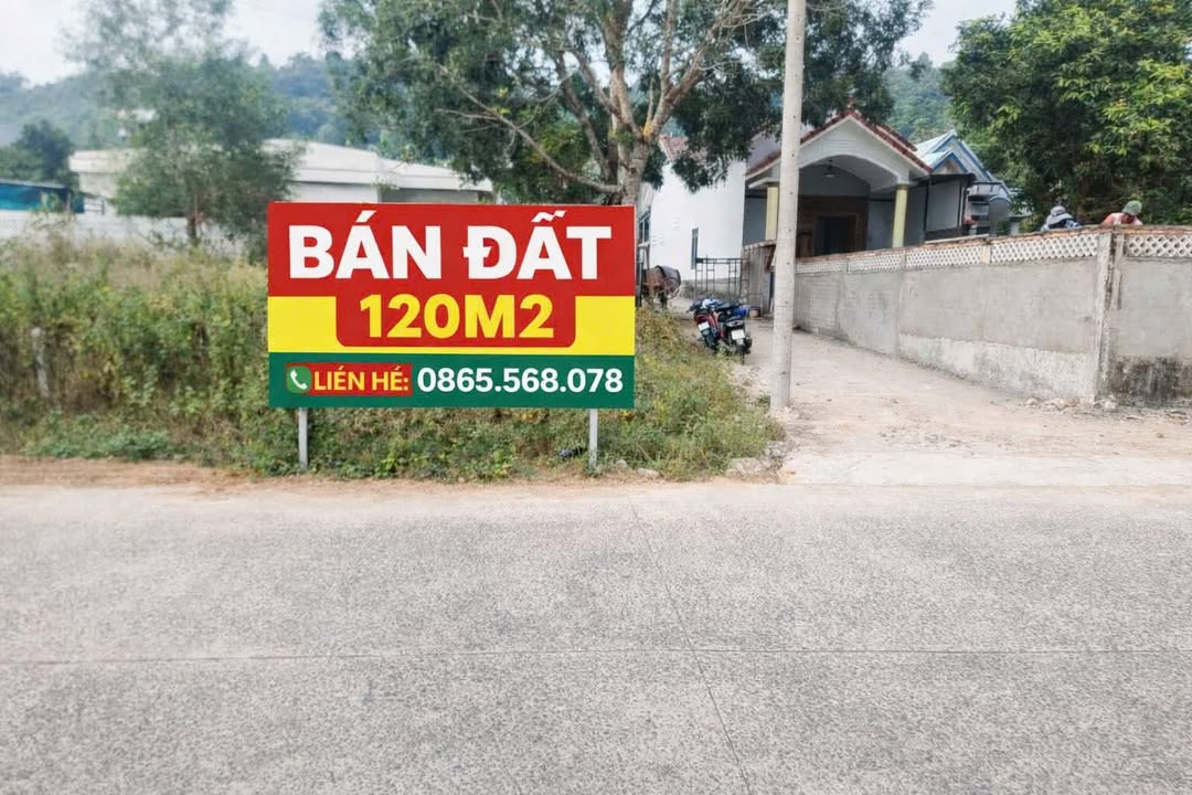 Đất 2 mặt tiền Trục Chính Cây Thông Ngoài Phú Quốc 120m² - Đầu tư lý tưởng!