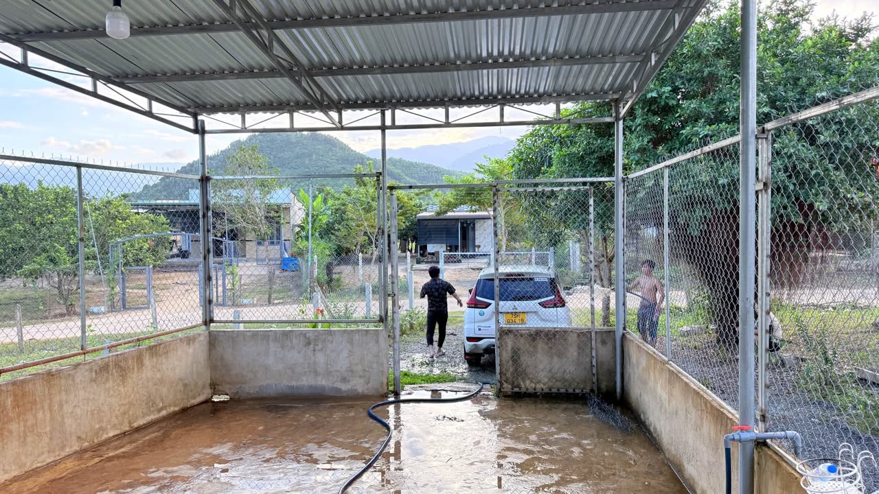 Đất thổ cư tại thôn Sơn Thành, Khánh Phú 1142m² chỉ 999 triệu - Sổ hồng chính chủ!