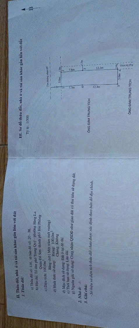 Đất nền 100m² tại Đường Đại Phong, Bàng La, Hải Phòng - Giá thỏa thuận hấp dẫn!