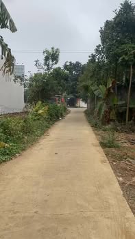 Đất nền Phường Tây Sơn, Tam Điệp 100m² giá 1.3 tỷ - Hướng Nam, Sổ hồng đầy đủ!