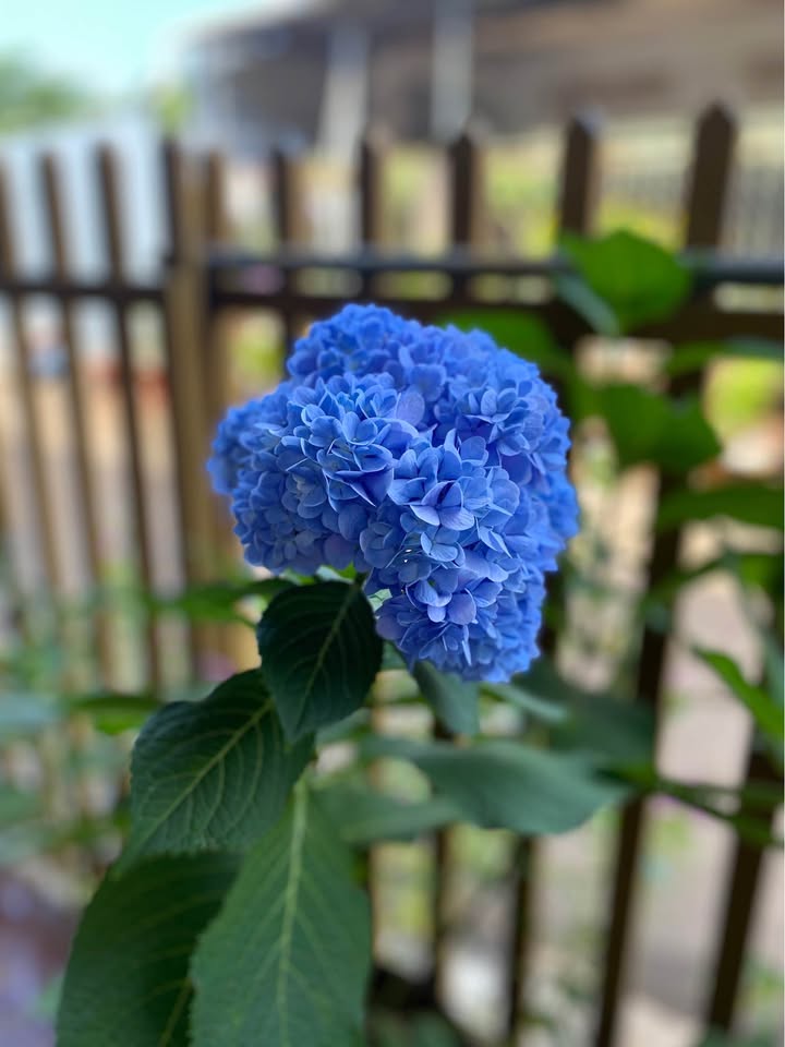 Đất nền thổ cư 105m² tại Trảng Bom, Đồng Nai - Sổ đỏ chính chủ chỉ 739 triệu!