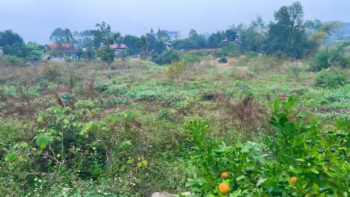 Mảnh vườn Tân Sỏi, Yên Thế, Bắc Giang 2850m² - Phù hợp đầu tư và nghỉ dưỡng!