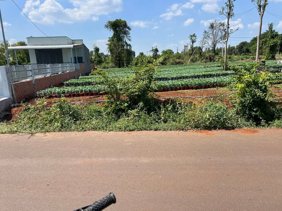 Đất nền Bình Giã, Châu Đức, 192m² giá 850 triệu - Đầu tư sinh lời ngay!