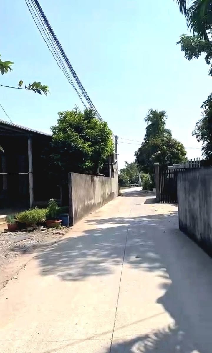 Đất thổ cư xã Mỹ Hạnh Nam, Đức Hòa, Long An 225m² - Mặt tiền đường ô tô thuận tiện