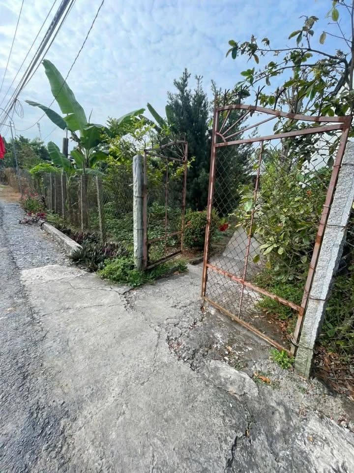 Đất nền 520m² tại xã Mỹ Thành Nam, Cai Lậy - Giá chỉ 1 tỷ VND!