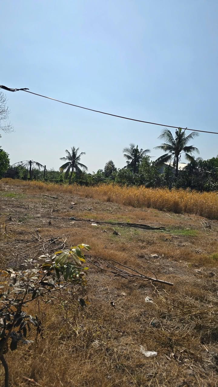 Đất nền xã Bình Phú Cai Lậy 392m² giá 840 triệu - Đầu tư sinh lời ngay!