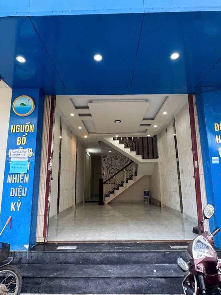 Cho thuê nhà nguyên căn đường Nguyễn Công Trứ, Huế 60m² - Mặt tiền 4,2m, kinh doanh mọi lĩnh vực!