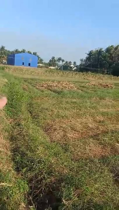 Đất trồng cây hàng năm tại Xã Hoài Phú 400m² giá thỏa thuận - Sổ đỏ chính chủ!