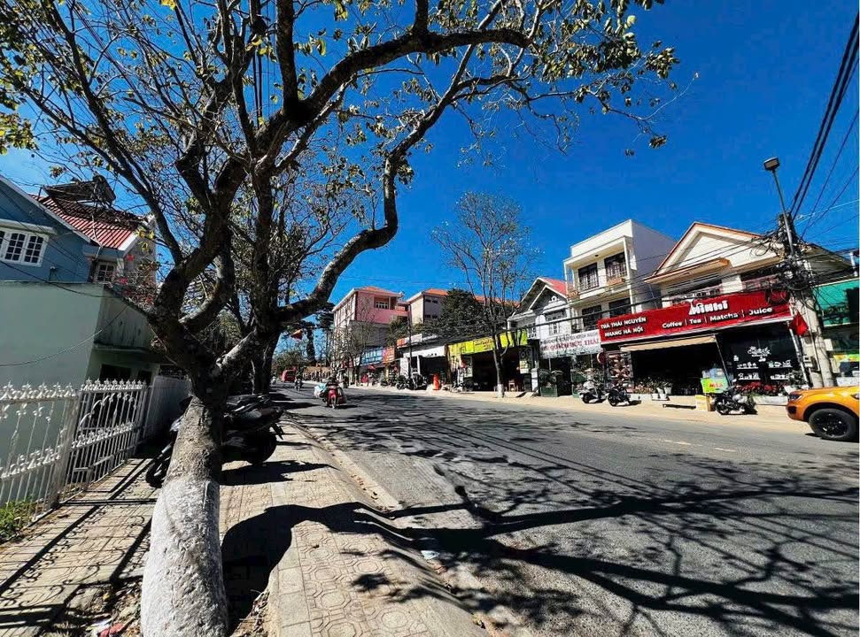 Đất góc hai mặt tiền Phan Chu Trinh Đà Lạt 265m² giá 26 tỷ - Cơ hội đầu tư hấp dẫn!