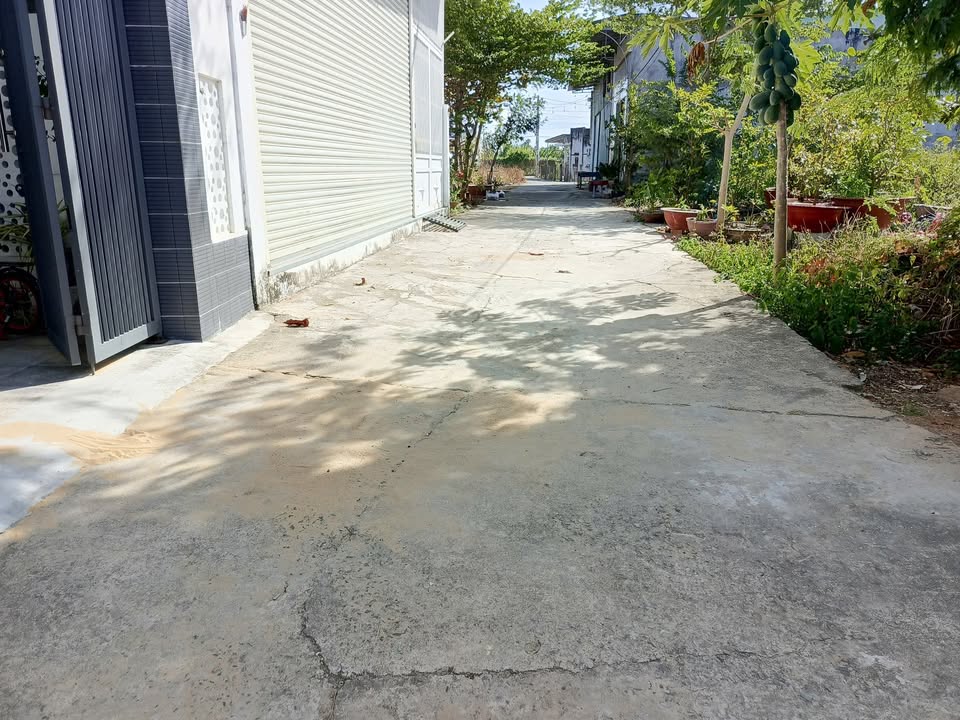 Đất thổ cư thôn Tiến Hòa, xã Tiến Lợi, Phan Thiết 100m² chỉ 800 triệu - Cơ hội đầu tư tuyệt vời!