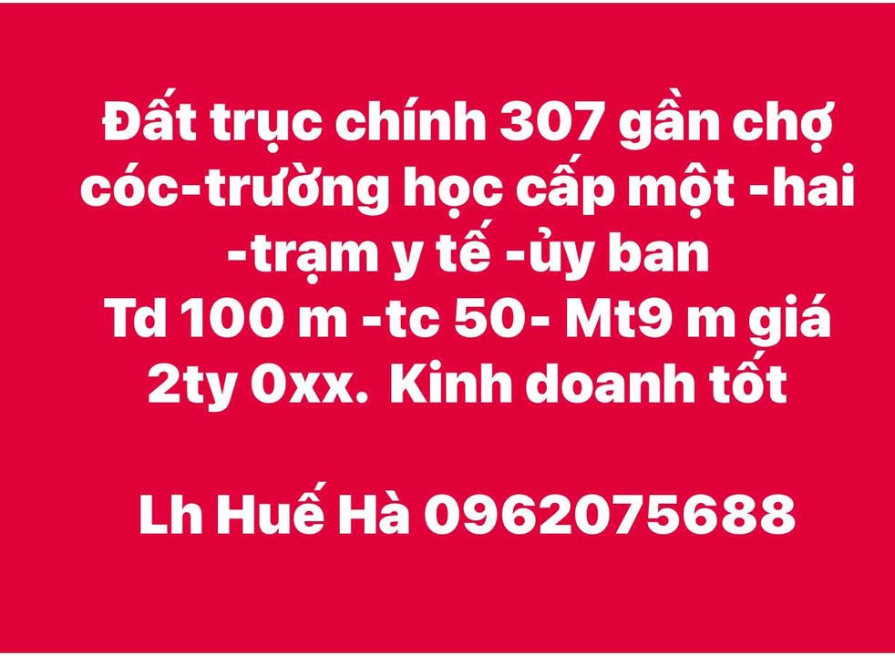 Đất nền TDP Láng - Kim Long, Tam Dương, Vĩnh Phúc 80m² giá 1 tỷ - Lô góc view hồ thoáng mát!