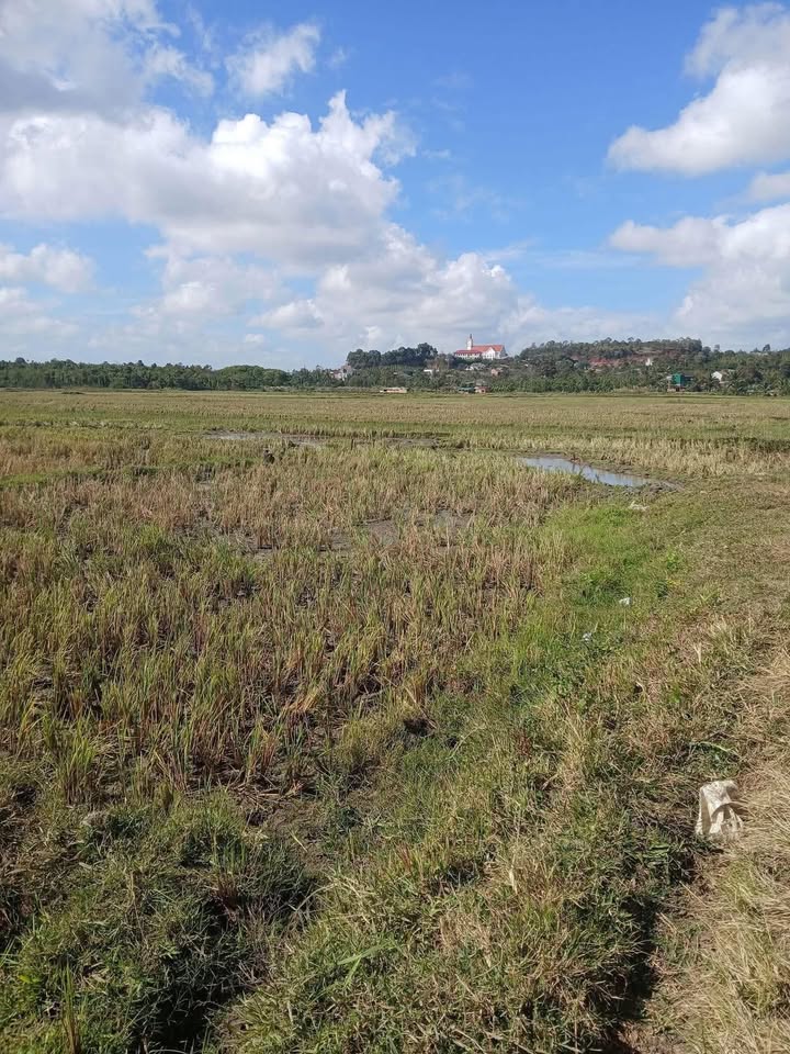 Đất nền Đức Mạnh, Đắk Song 360m² giá 45 triệu - Đầu tư sinh lời ngay!