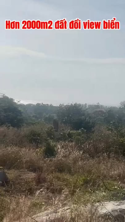 Đất Farm Tân Thành, Đức Trọng 2000m² giá 2 tỷ - Đầu tư tiềm năng!